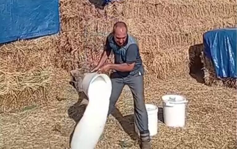 paşinyan